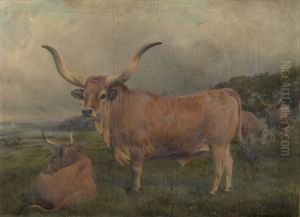 A group of Spanish Oxen