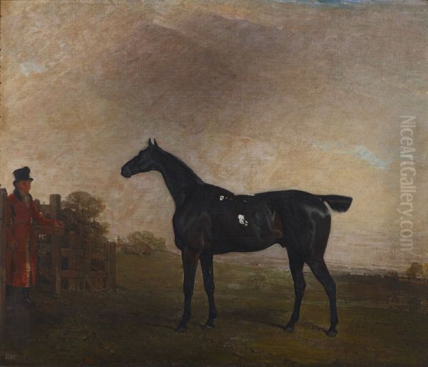 A Black Horse - view 1