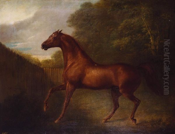 Portrait of a chestnut horse - view 1