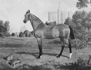 "Nimrod" by Charles Burton Barber