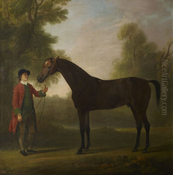 Portrait of a horse - view 1