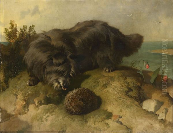 Dandie Dinmont - view 1