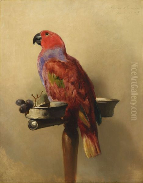 The Lory - view 1