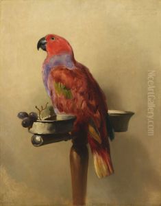 The Lory by Sir Edwin Henry Landseer