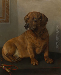 Dacko (1859-71) Dacko (1859-71)