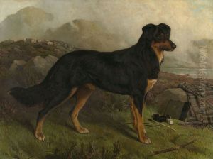 "Noble" (1871-1887) "Noble" (1871-1887)