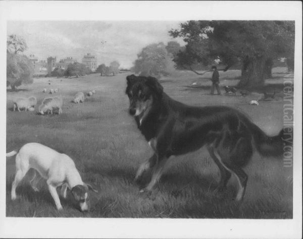 "Noble" and "Flo" - view 1