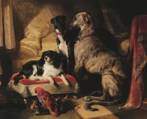 Hector, Nero, and Dash with the parrot, Lory
