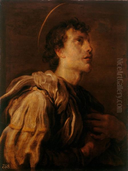 A Young Male Saint - view 1