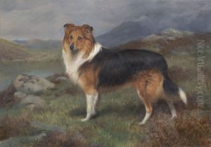 "Darnley"