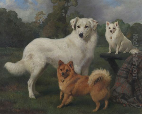 "Snowball", "Marco" & "Janey" - view 1