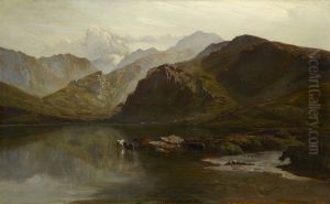 A view of Llyn Dulyn
