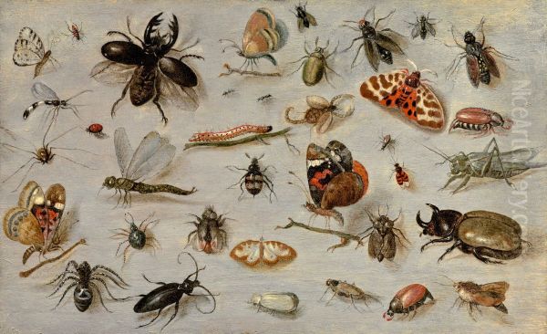 A Study of Butterflies, Moths, Spiders, and Insects - view 1