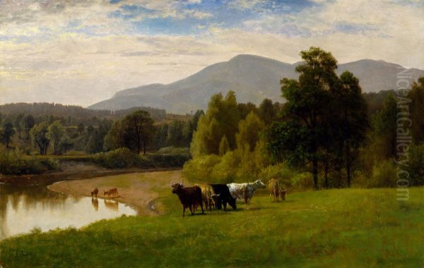 Pasture Lands - view 1