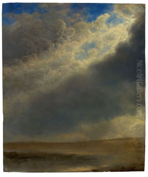 Landscape - view 1
