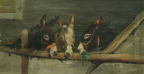 Three Donkeys - view 1