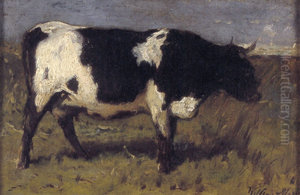 Koe
