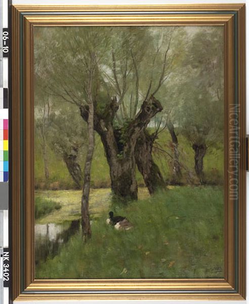 Wilgen aan de slootkant - view 1