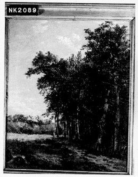 Bosrand - view 1