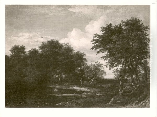 Forest landscape with pond - view 1