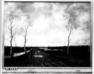 Moeraslandschap met modderige weg Moeraslandschap met modderige weg