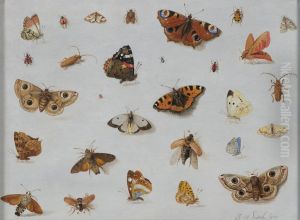 Butterflies and Insects