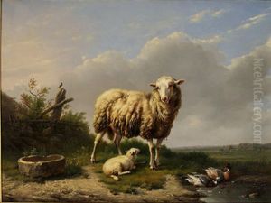 sheep and ducks