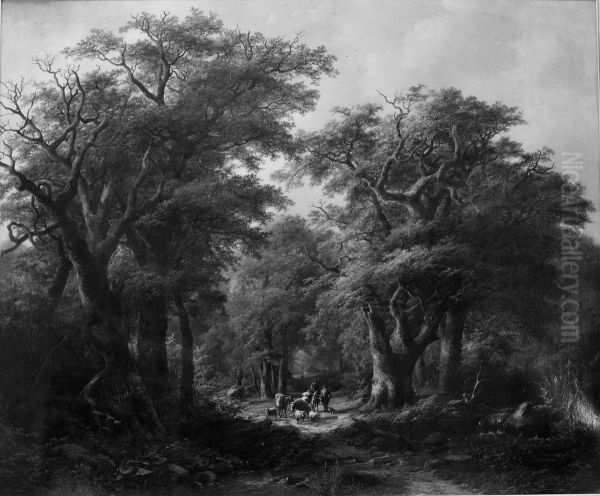 Boslandschap - view 1