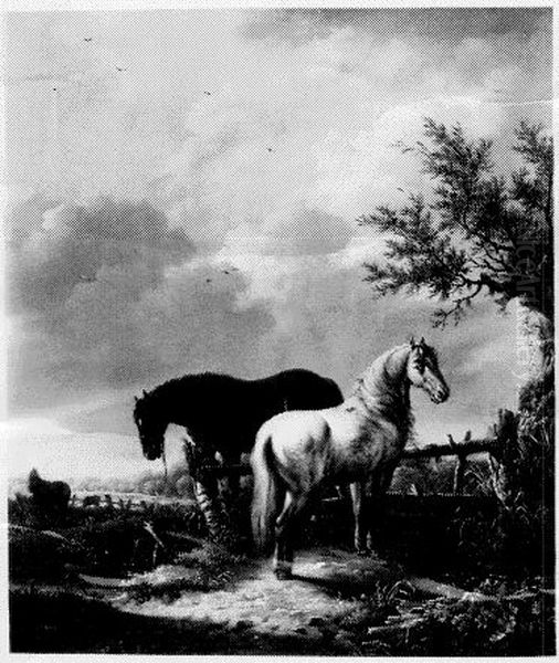 Twee paarden bij een hek - view 1