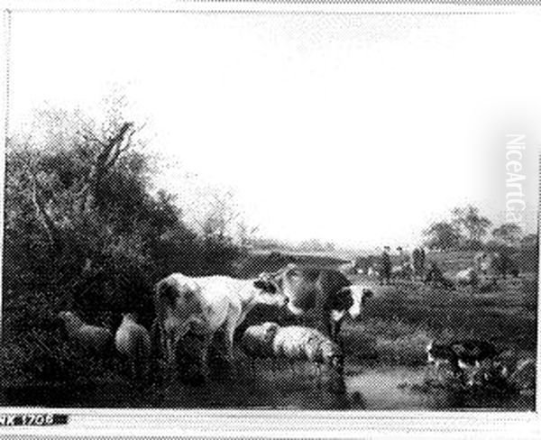 cows and sheep - view 1