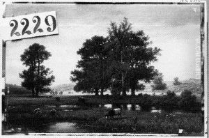 Glooiend landschap met bomen en koeien bij plas by Joseph Van Luppen
