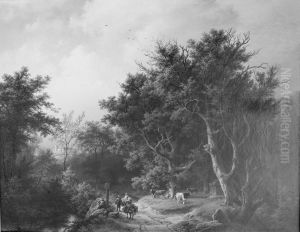 forest - landscape forest - landscape