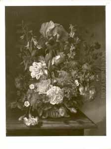 Blumenstrauss mit Iris, Mohn und Rittersporn by Herman van der Mijn
