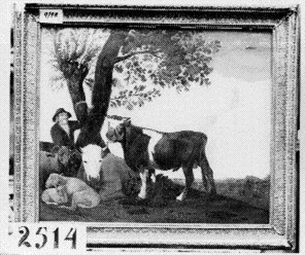 De stier - view 1