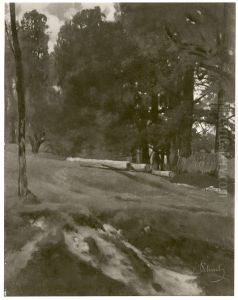 Felled trees on the edge of a wood Felled trees on the edge of a wood