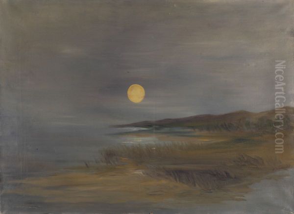 Maan landschap - view 1