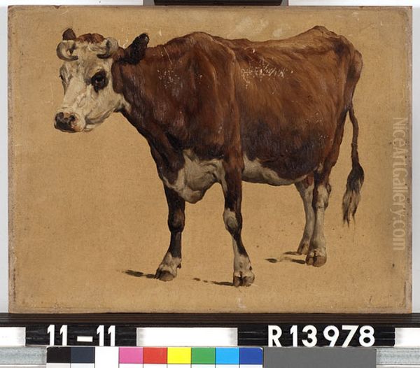 Studie van een roodbonte koe - view 1