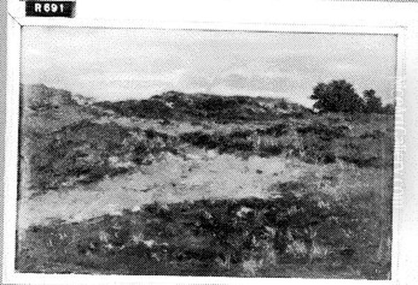 Duinlandschap - view 1