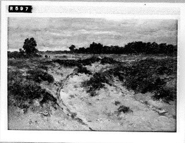 Landweg - view 1