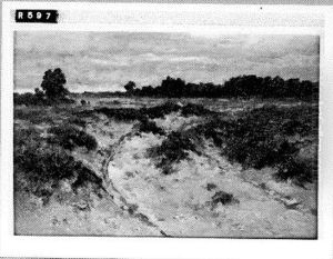 Landweg Landweg