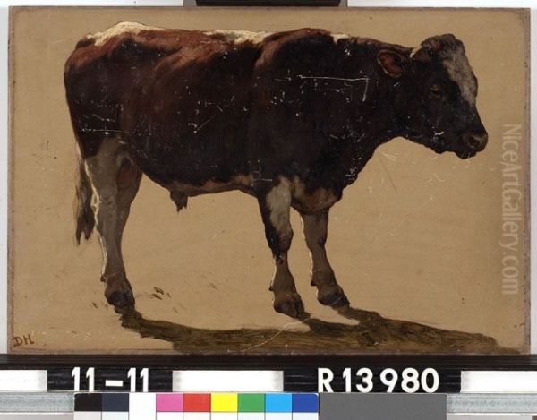 Studie van een stier - view 1