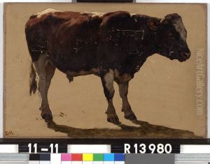 Studie van een stier by Johannes-Hubertus-Leonardus de Haas