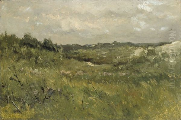 Duinpan - view 1