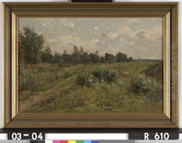 Dune landscape - view 1