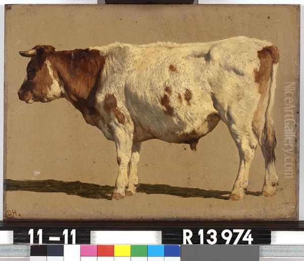 Studie van een roodbonte koe - view 1