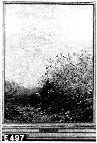 Houtkappers - view 1