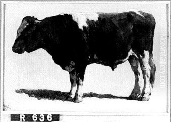Studie van een stier - view 1