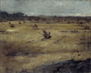 Heidelandschap met boomstronken