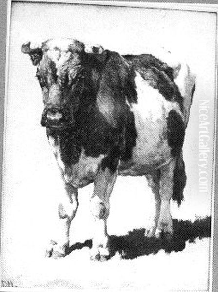 Studie van een stier - view 1
