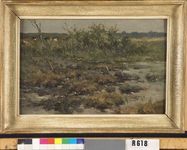 Plas - view 1
